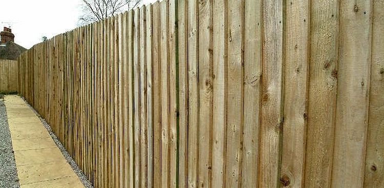 feather fence